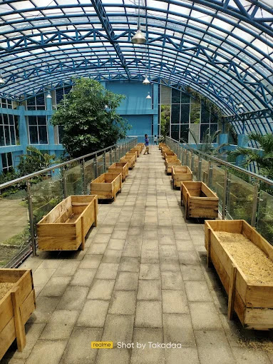 Kebun Raya Purwodadi, HargaTiket Masuk Dan Fasilitas Kebun Raya Purwodadi, HargaTiket Masuk Dan Fasilitas