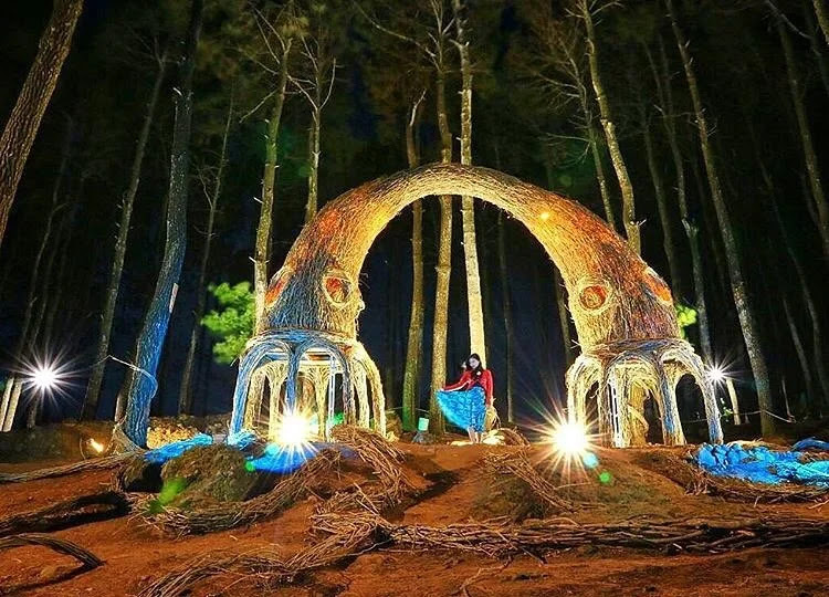 hutan-pinus-pengger hutan-pinus-pengger