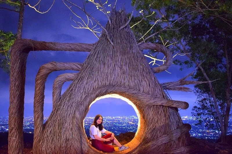 hutan-pinus-pengger hutan-pinus-pengger